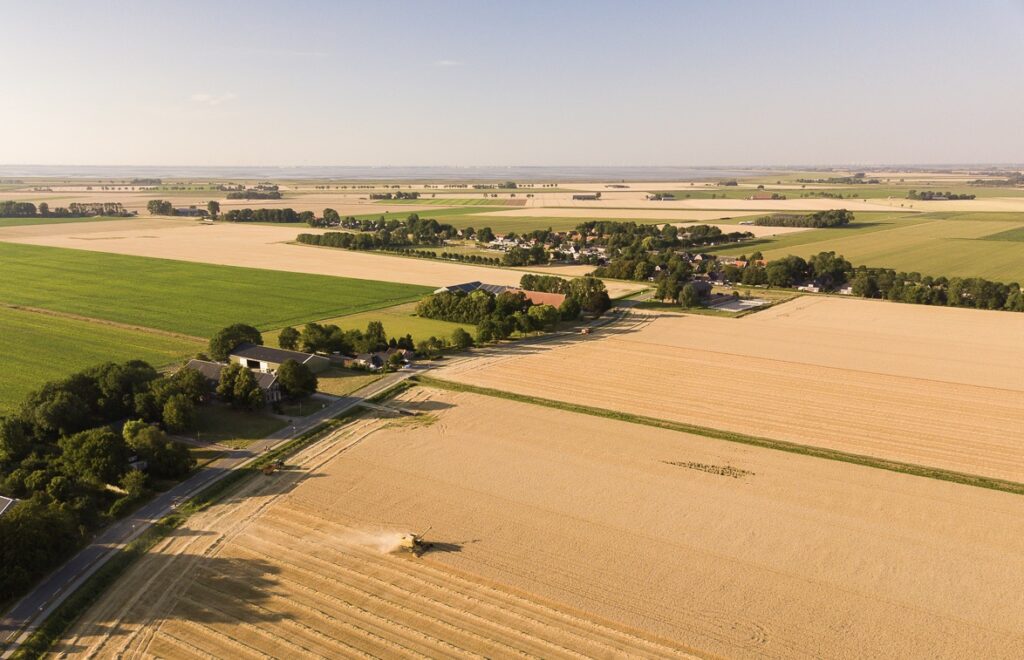 Uitzicht over de graanvelden van Oldambt